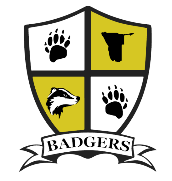 Badgers Namibia Ice and Inline Hockey Association